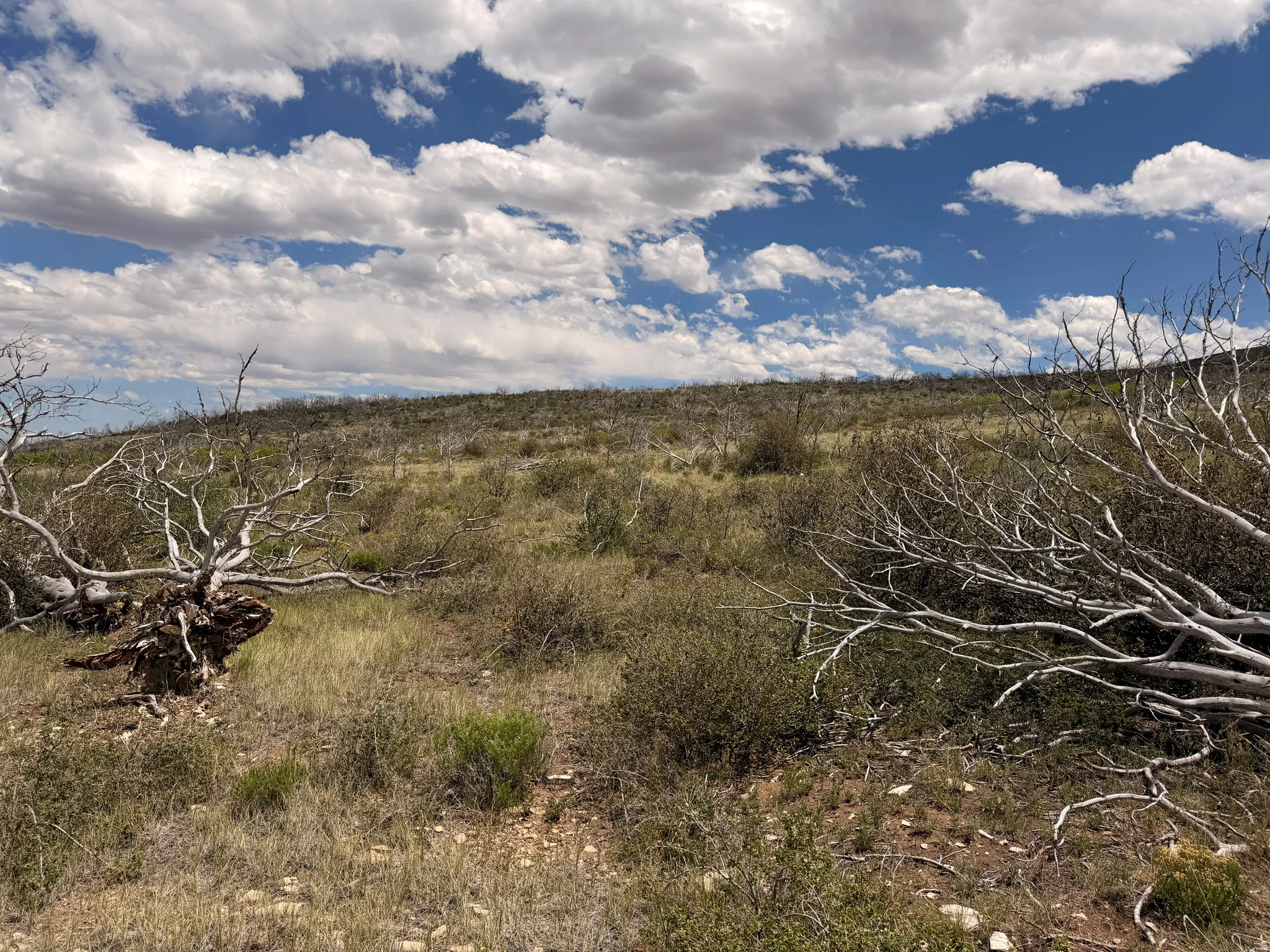 West end of the property looking east.