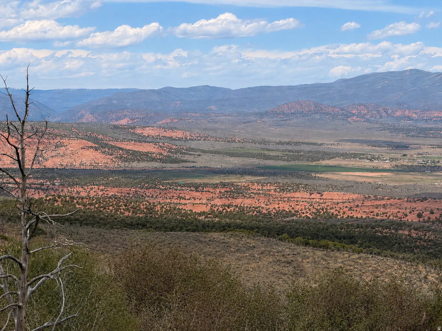 Close up of the northern view from the center of the parcel.