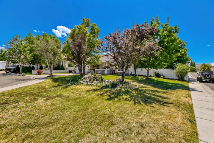 Lush front lawn with mature trees and a decorative rock garden feature