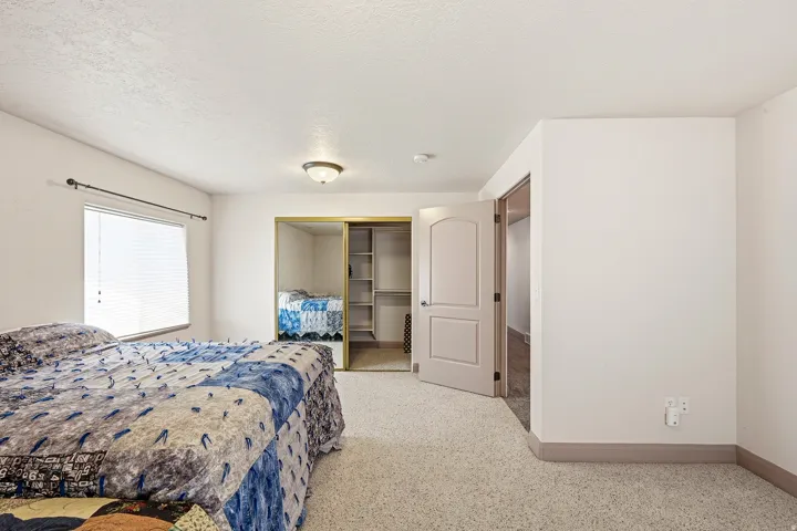 Carpeted room featuring a window with blinds, a ceiling-mounted light fixture, a closet with sliding doors and shelving, and a paneled interior door