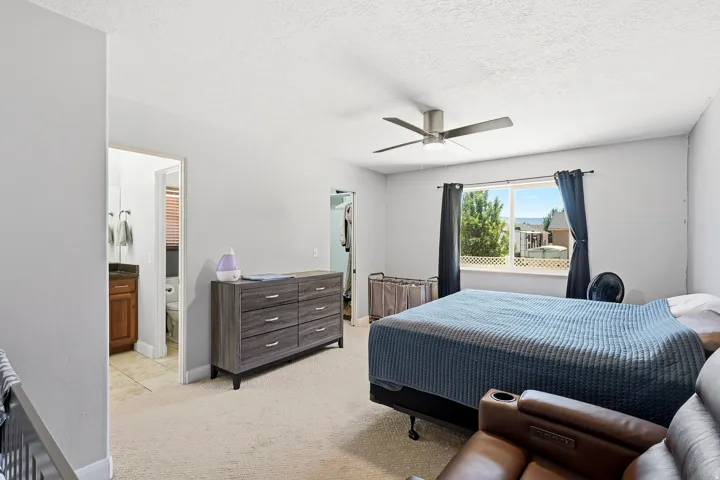 Spacious room featuring neutral carpeting, a contemporary ceiling fan, and a large window with white grid detailing