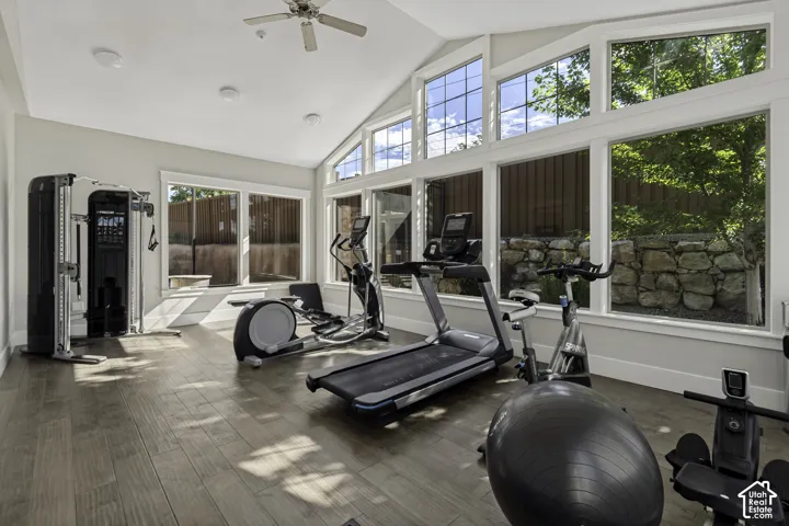 Room featuring a vaulted ceiling with a ceiling fan, wood-finish flooring, and expansive windows