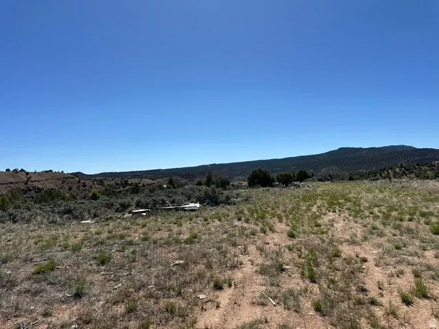 Expansive undeveloped land featuring a clear blue sky, distant hills, and varied natural vegetation