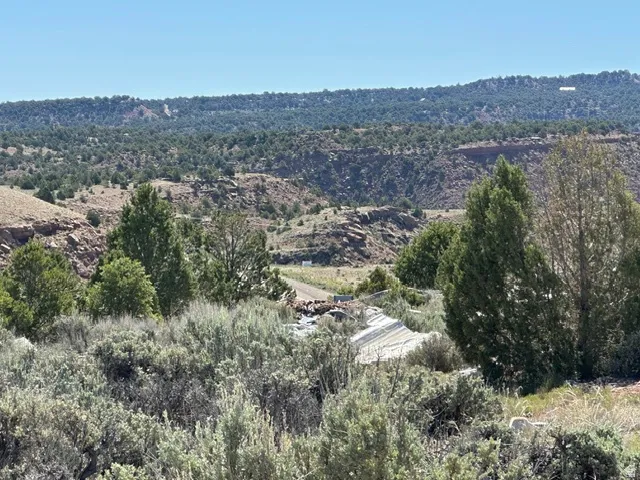 Expansive natural landscape featuring varied terrain, mature evergreen trees, and native brush