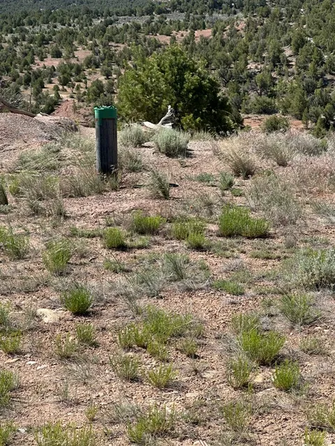 Undeveloped land featuring natural vegetation and a visible well casing with a green cap