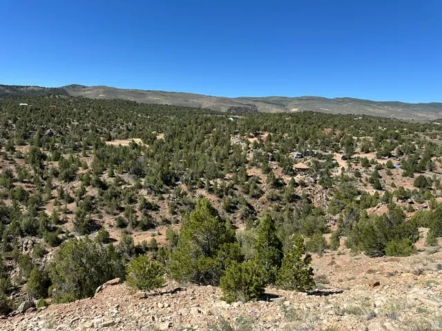 Expansive desert landscape featuring abundant evergreen vegetation and distant hills