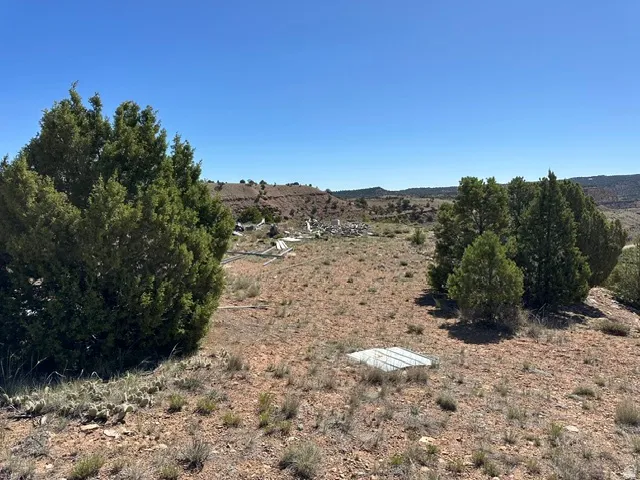 Expansive undeveloped lot featuring natural vegetation, scattered trees, and a clear sky backdrop