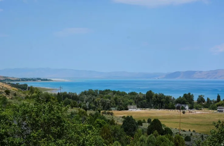 Expansive landscape featuring a large body of water, distant mountains, and dense tree coverage