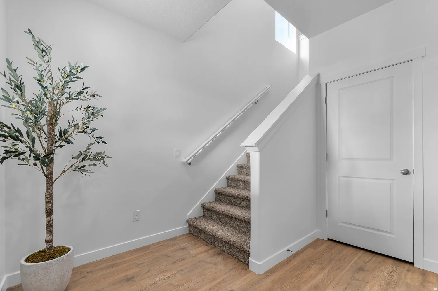 Staircase featuring carpeted treads and a white handrail
