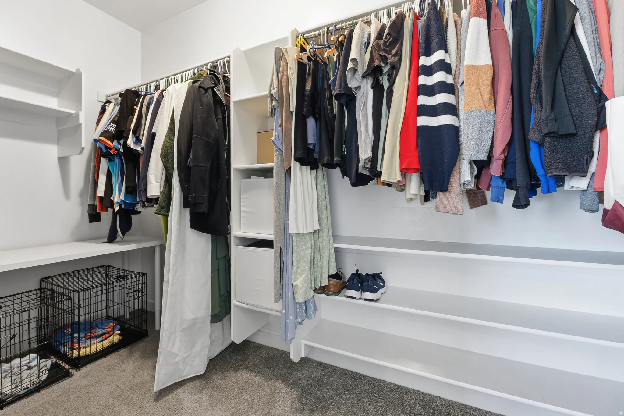 Primary walk-in closet