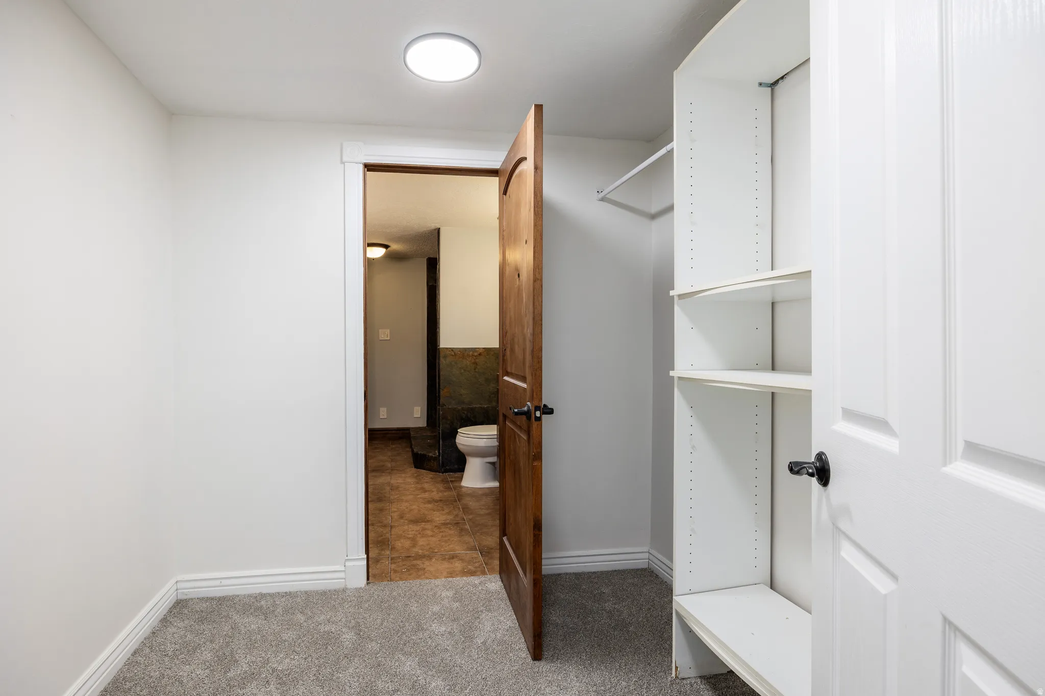 Neutral tone carpet, built-in shelving, white paneled doors, and a solid wood door