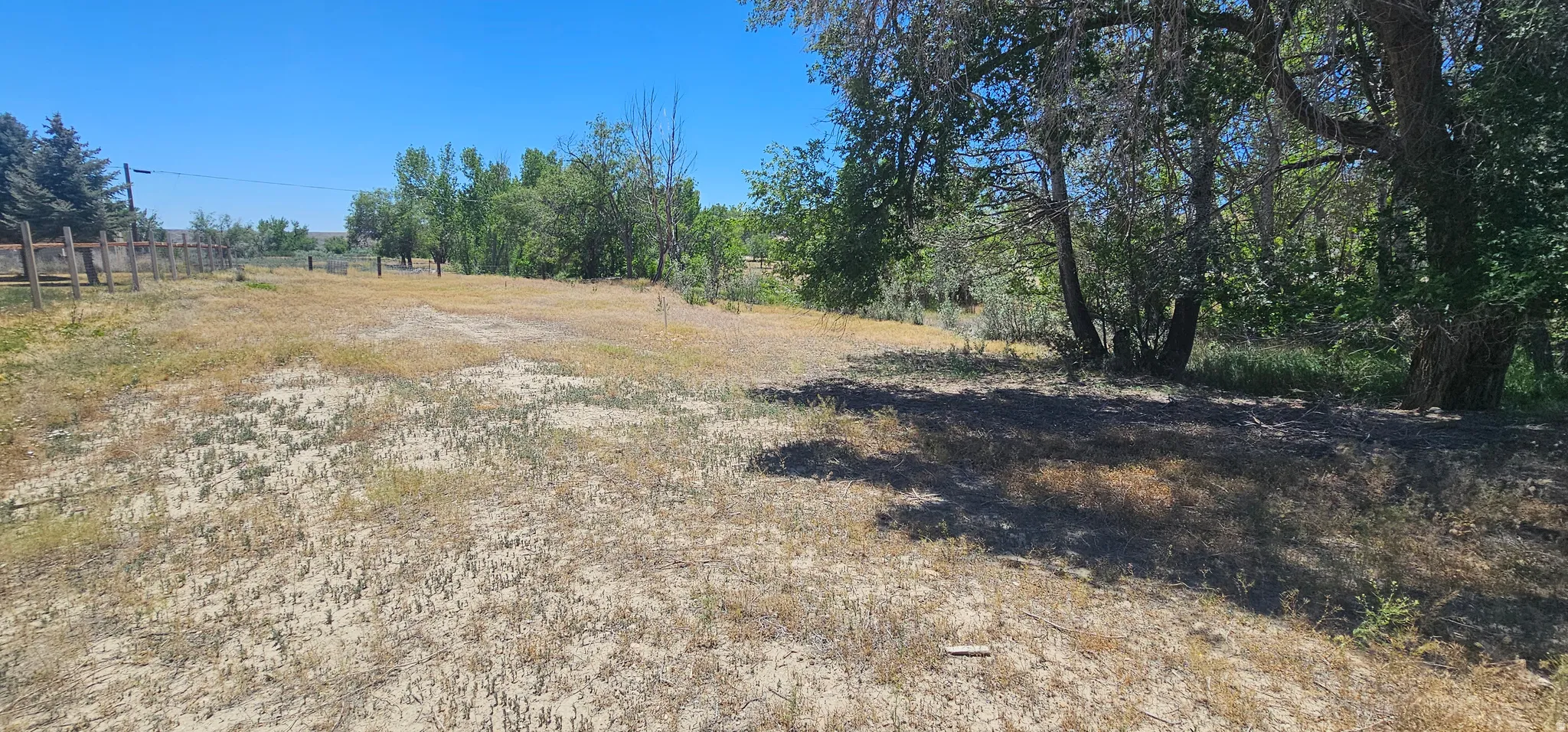 Expansive open lot featuring mature trees and a wooden fence bordering the property