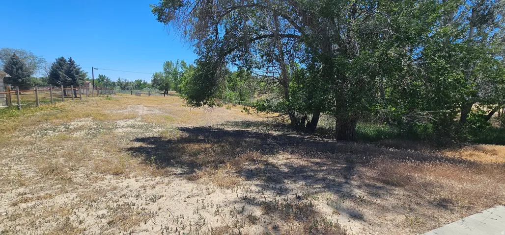 Expansive lot featuring mature trees, partial fencing, and natural landscaping