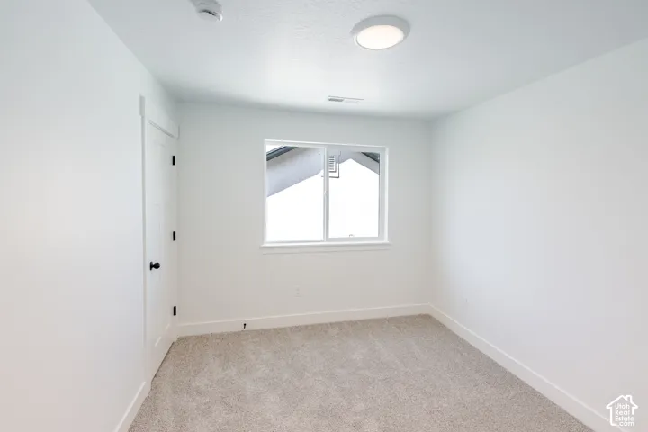 Neutral-toned carpeting, single-panel interior door with matte black hardware, flush-mount LED ceiling lighting, and sliding window