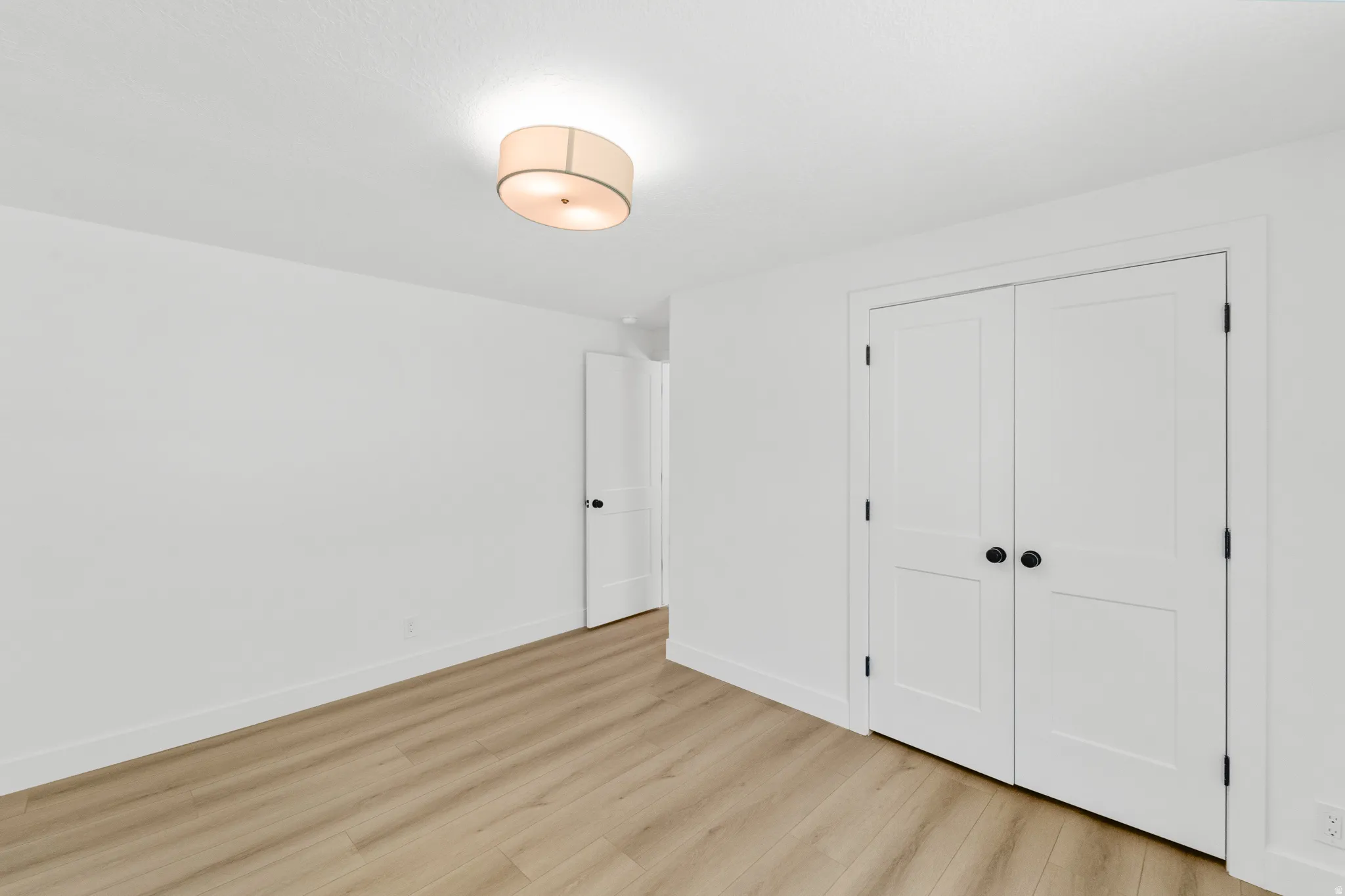 Room featuring light wood-finish flooring, white walls, and a contemporary ceiling light fixture