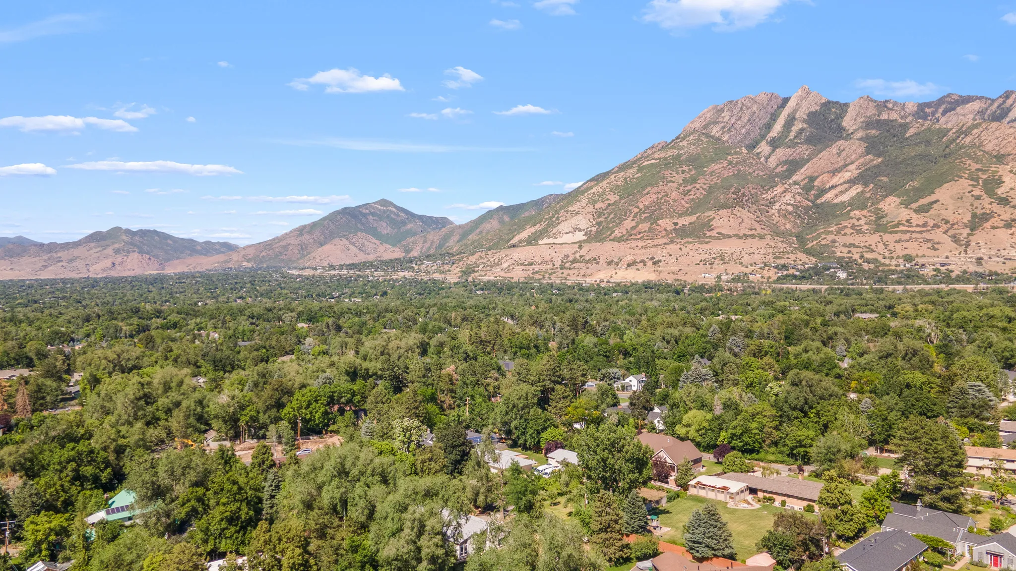 Expansive aerial perspective showcasing a verdant tree canopy and residential properties