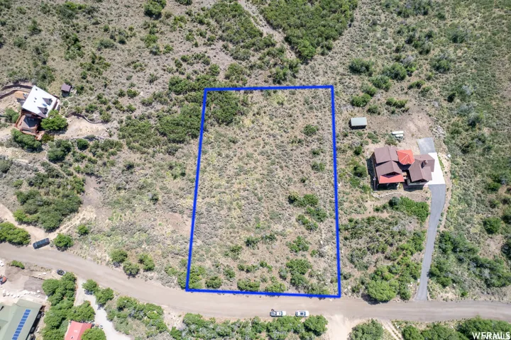 Expansive undeveloped parcel featuring natural vegetation