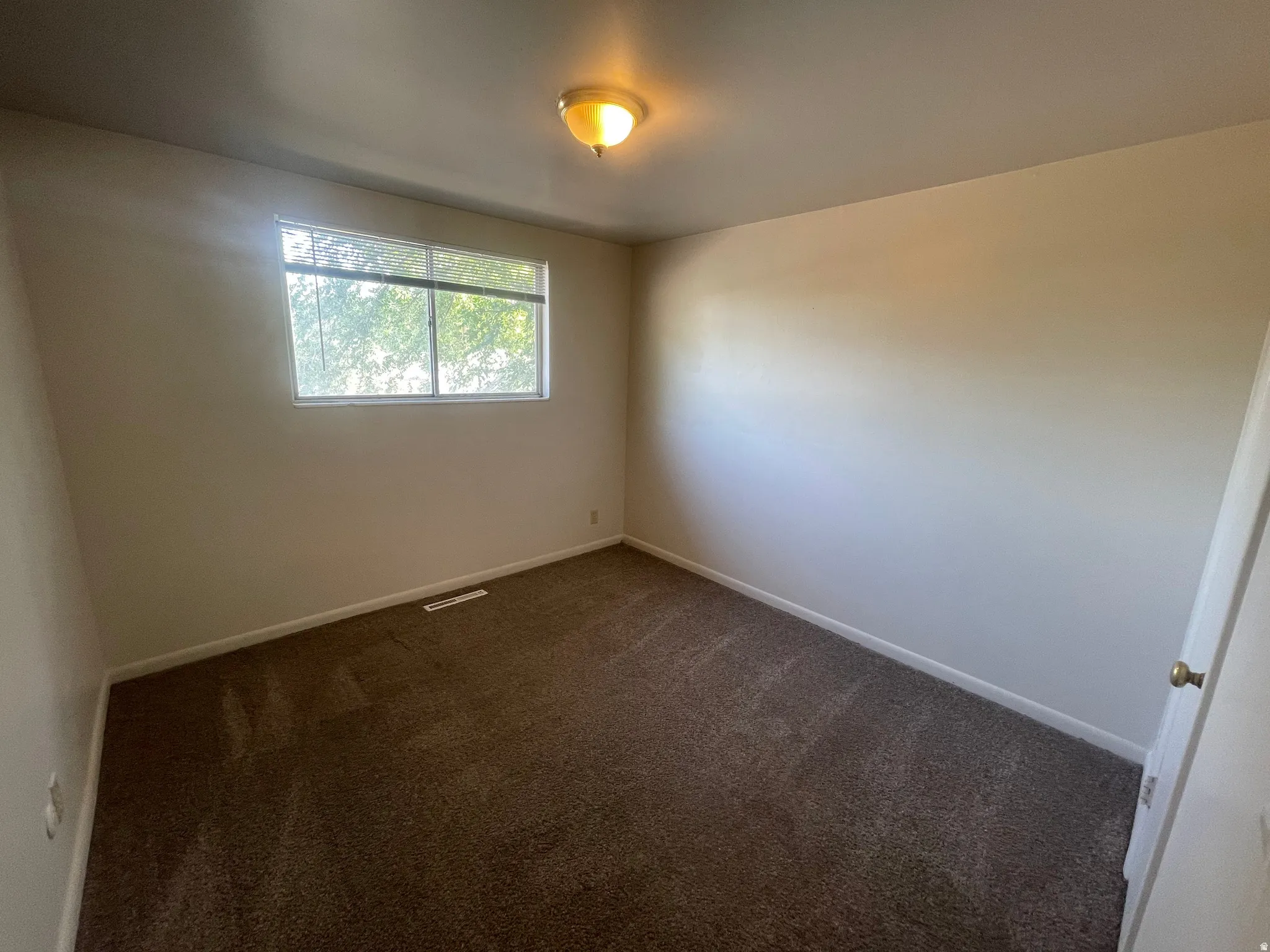 Carpeted room featuring a window with natural light, light-toned walls, and a ceiling-mounted light fixture