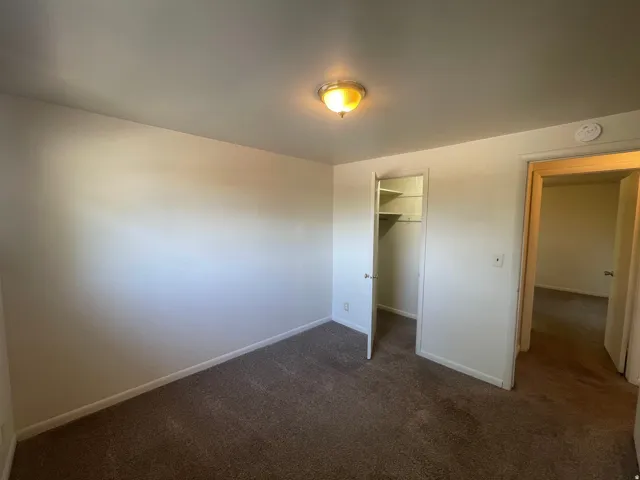 Neutral wall paint, brown carpeting, flush-mount ceiling light, white baseboards, and built-in closet with shelving