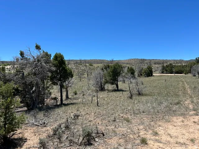 Expansive natural landscape featuring varied terrain, scattered evergreen trees, and low-lying brush