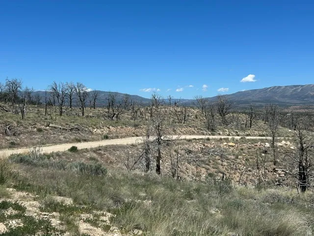 Expansive natural landscape featuring a winding dirt road and distant mountains under a clear sky