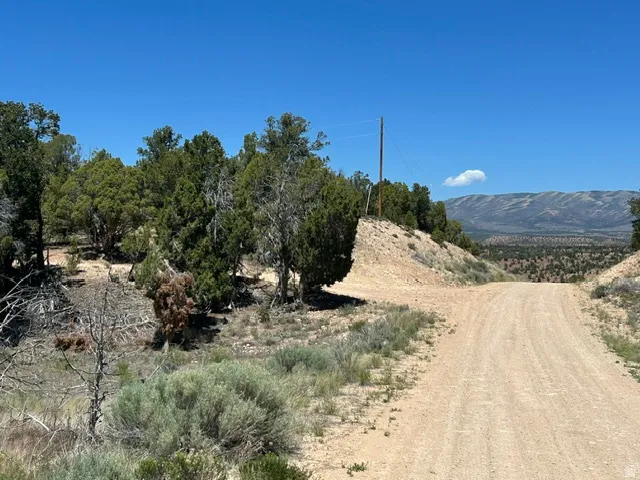 Unpaved road winding through a natural landscape with distant mountains