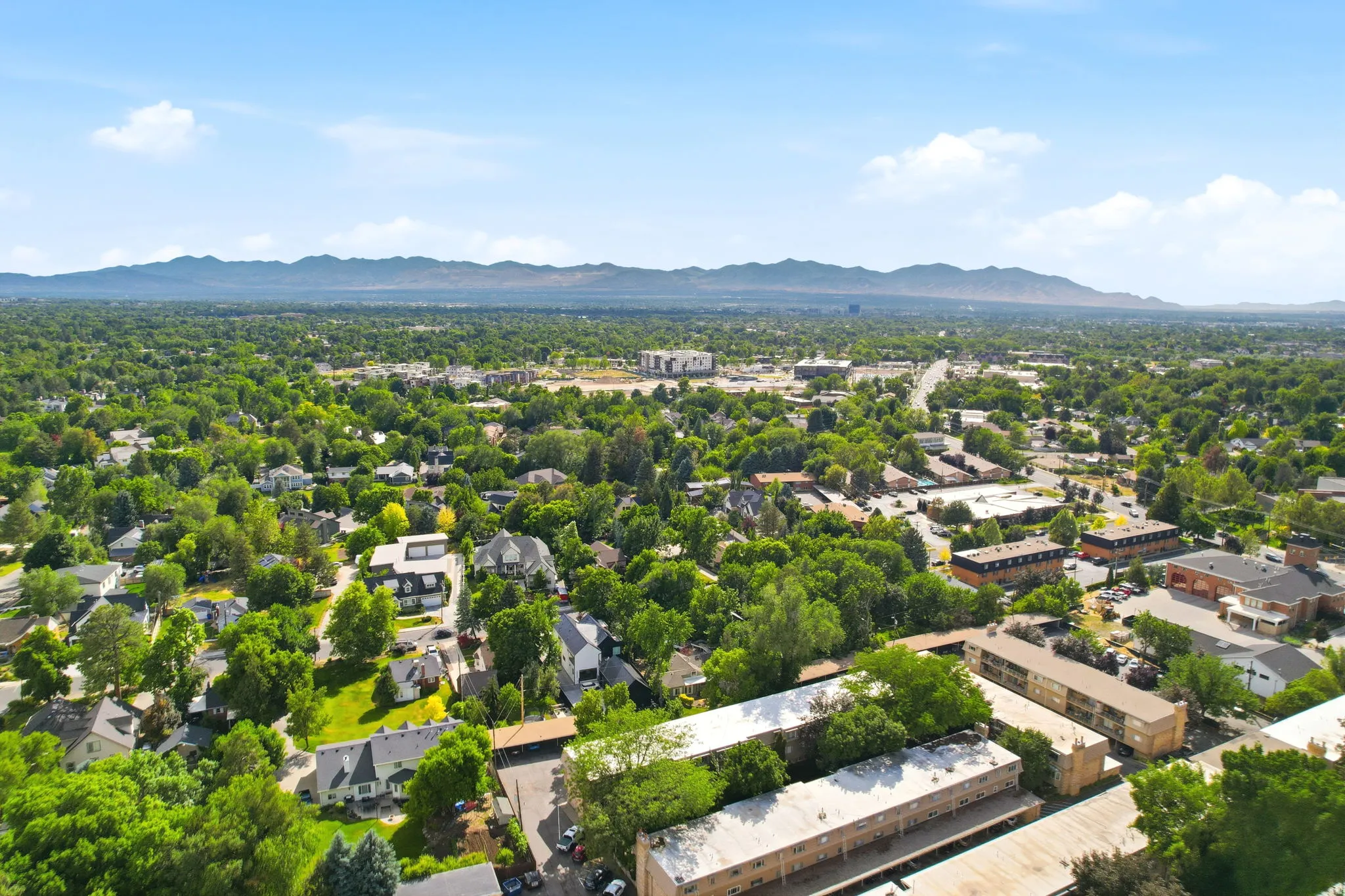 Expansive aerial perspective showcasing a verdant landscape with extensive tree canopies