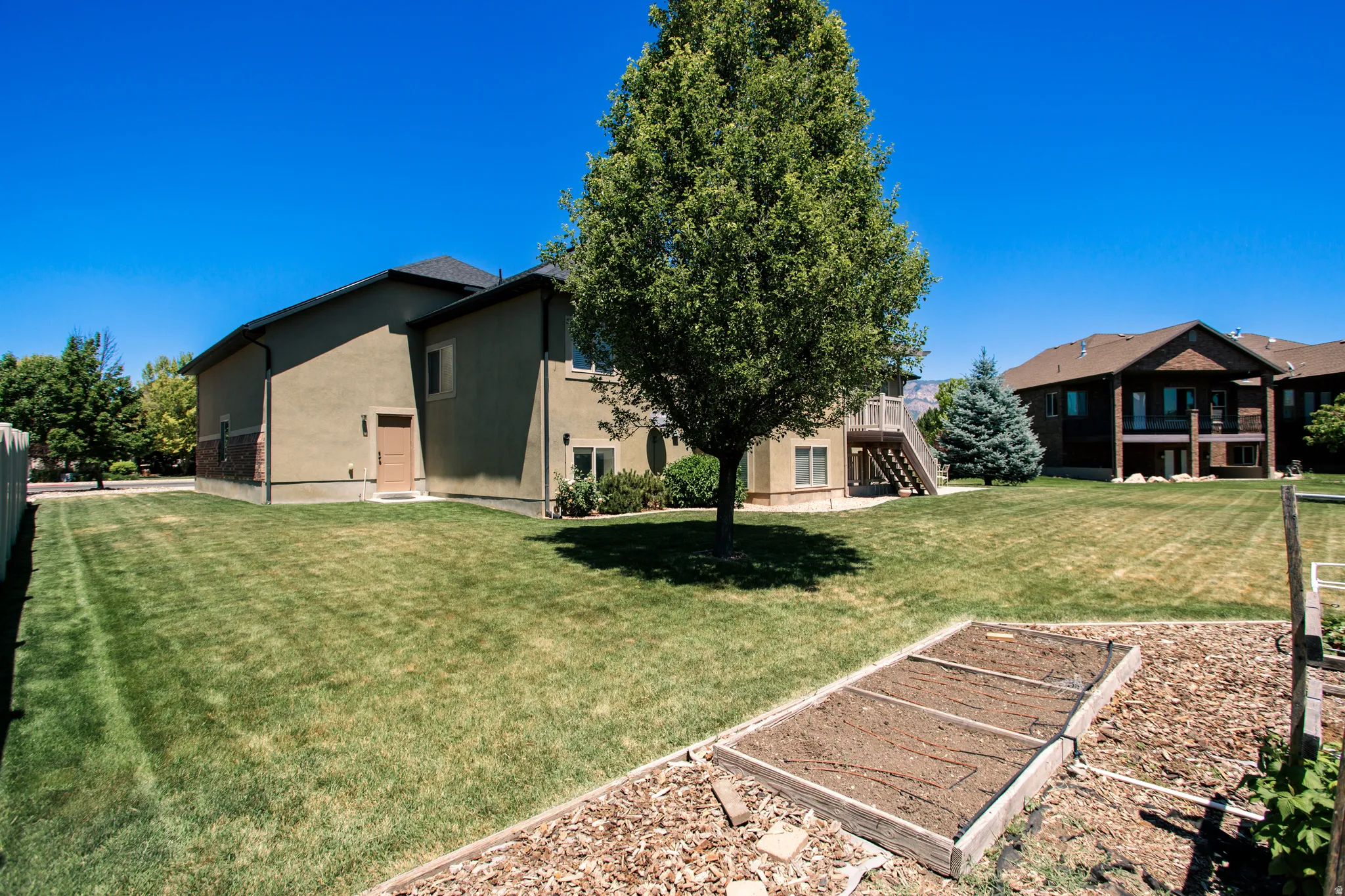 Expansive backyard featuring a manicured lawn, established tree, and a raised garden bed