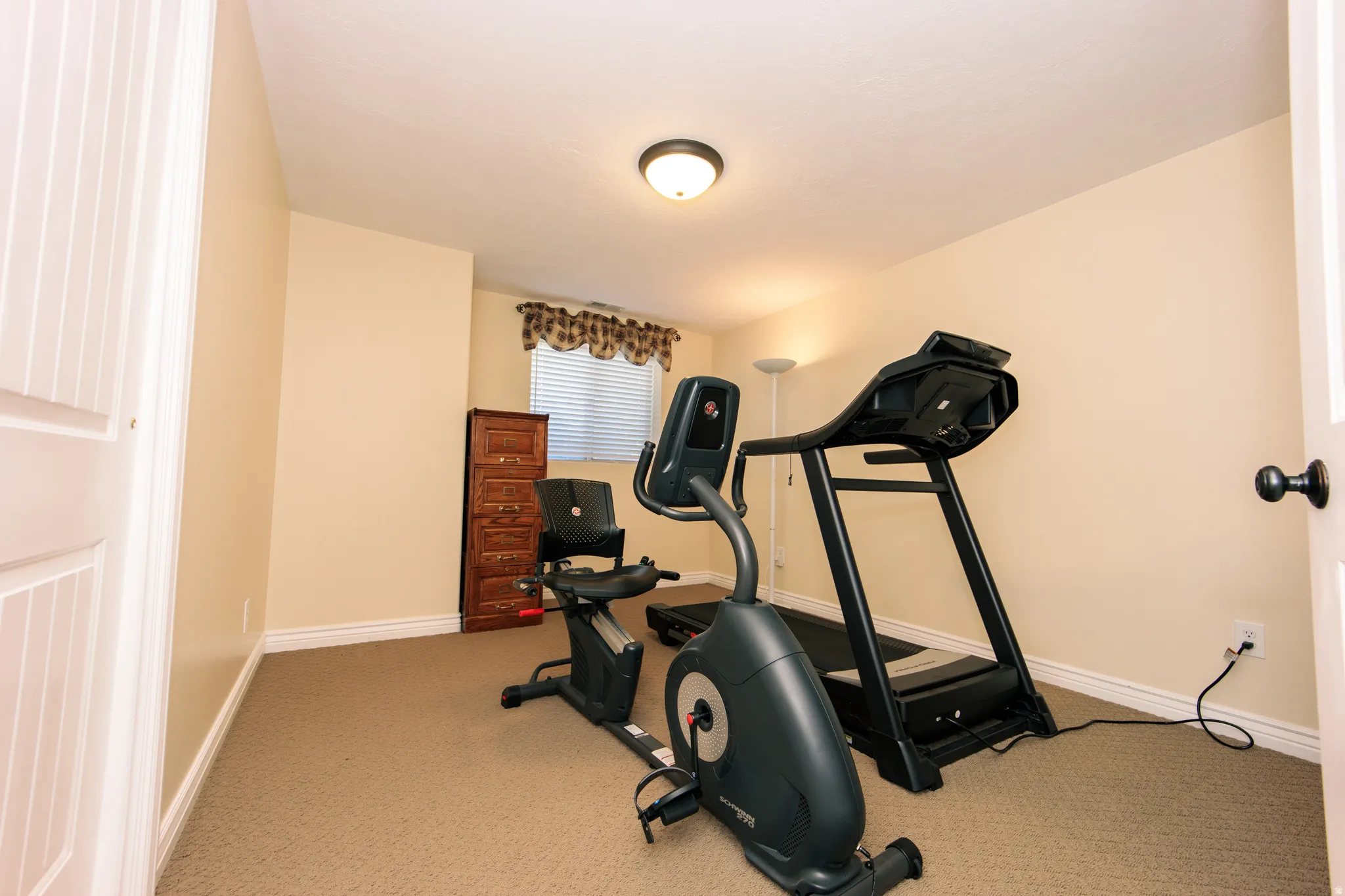 Bedroom, with neutral-toned room featuring carpet flooring, painted walls, a flush-mount ceiling light, and a window with blinds