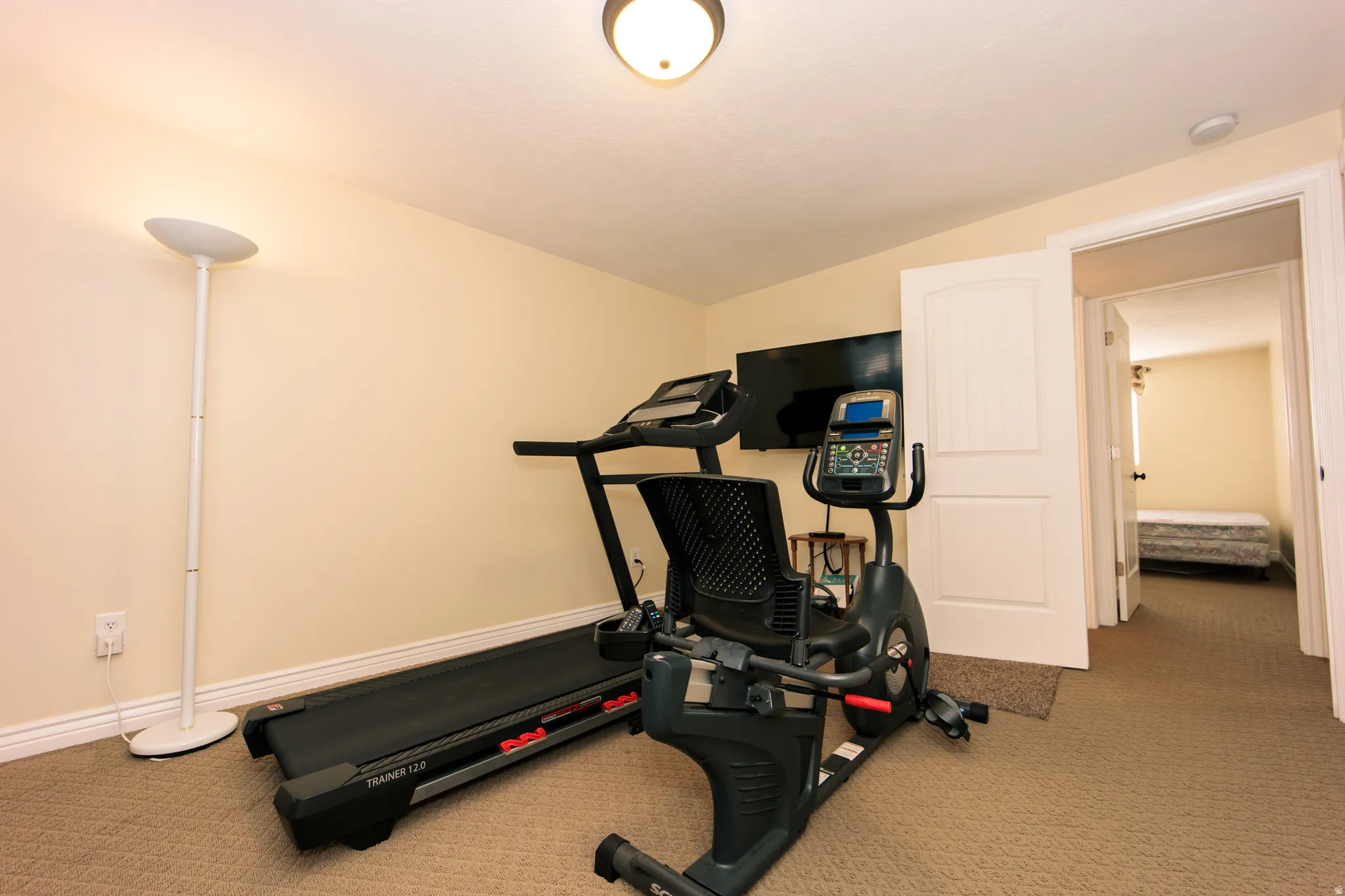 Carpeted interior space with a ceiling-mounted light fixture and a wall-mounted television