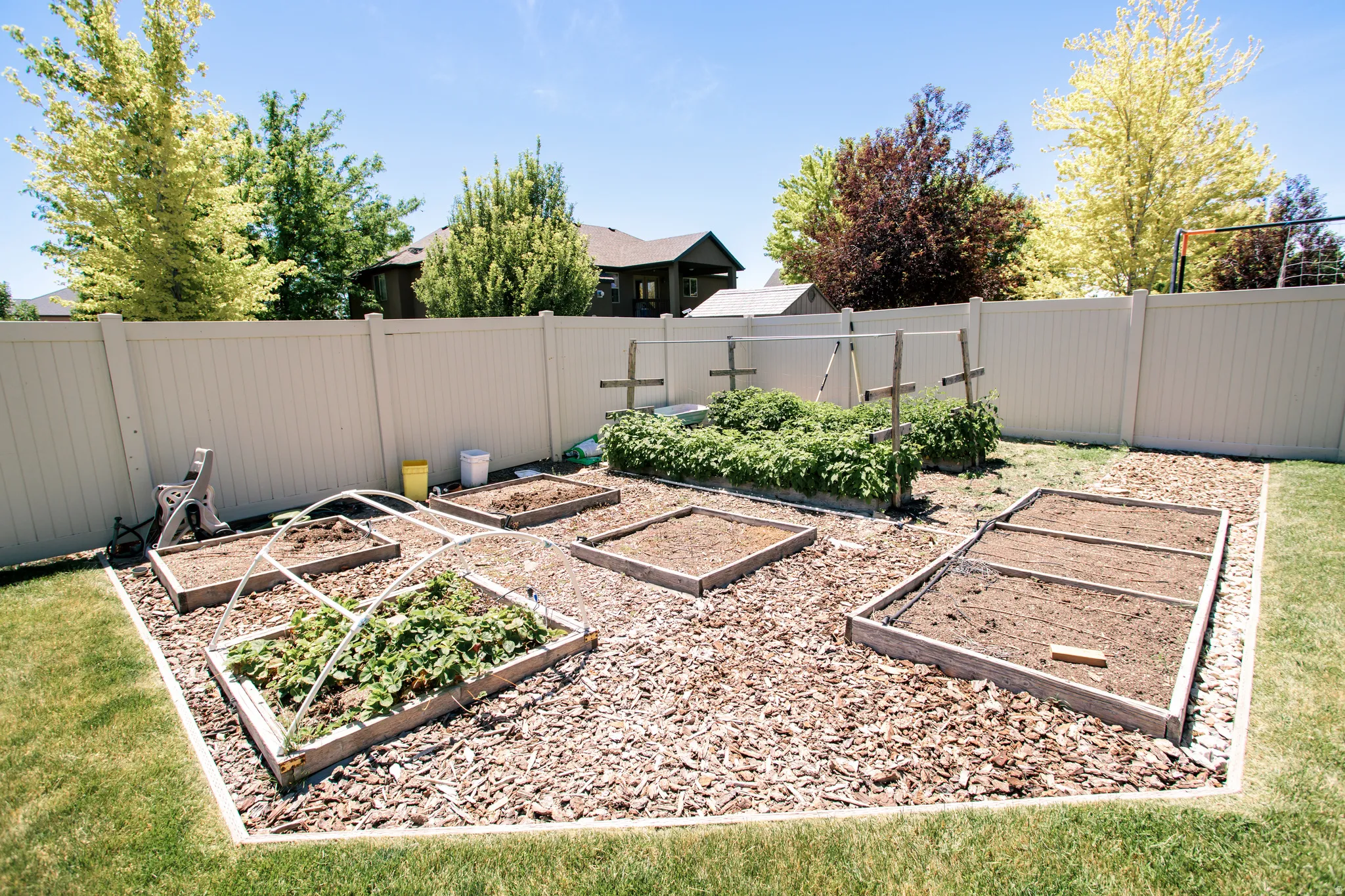 Expansive backyard garden area featuring multiple raised beds and wood chip ground cover