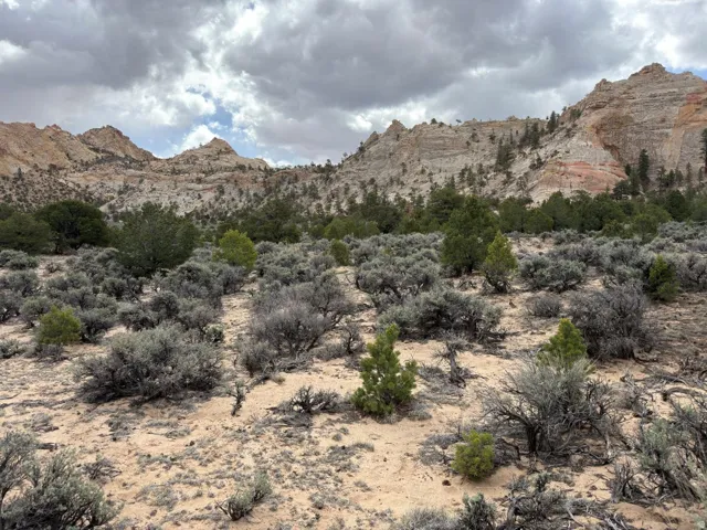 2196 E Teasdale Rd, Teasdale, Utah 84773