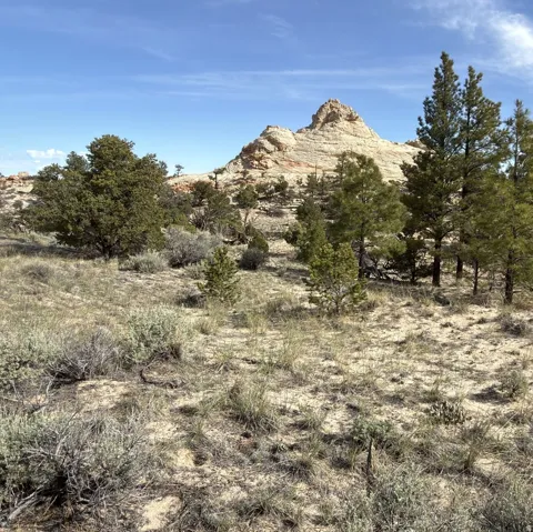 2196 E Teasdale Rd, Teasdale, Utah 84773