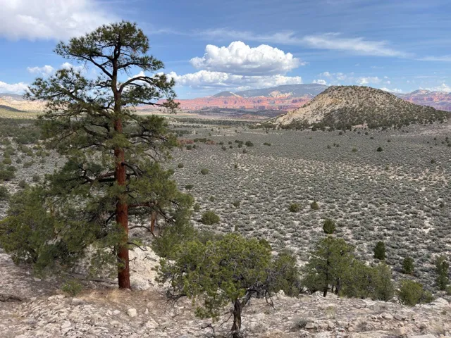 2196 E Teasdale Rd, Teasdale, Utah 84773