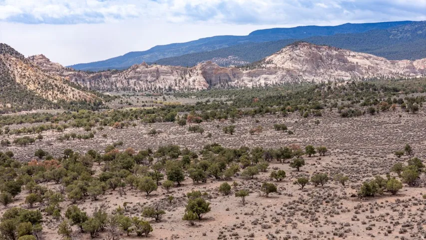 2196 E Teasdale Rd, Teasdale, Utah 84773