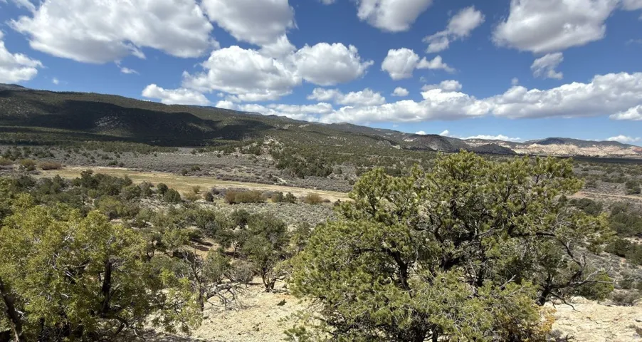 2196 E Teasdale Rd, Teasdale, Utah 84773