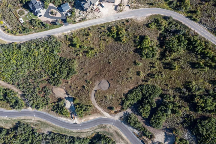 Expansive undeveloped lot featuring mature trees and established roads