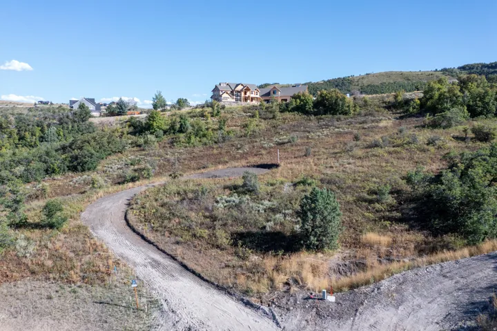 Unimproved sloped land parcel with natural vegetation and distant residential structures