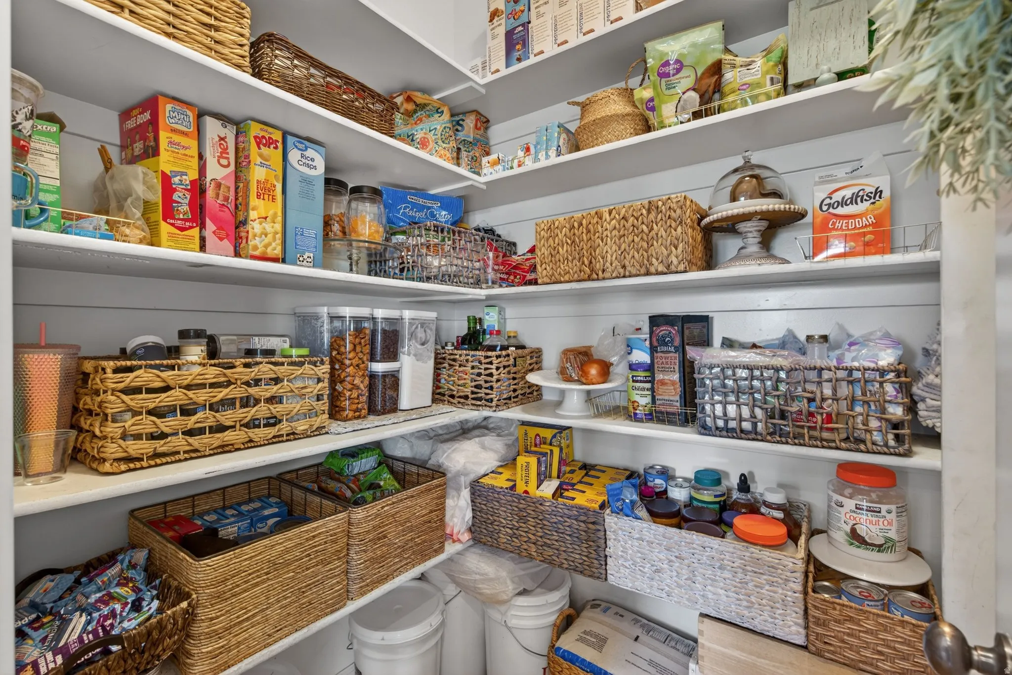 Spacious pantry featuring multiple tiers of shelving and ample storage capacity