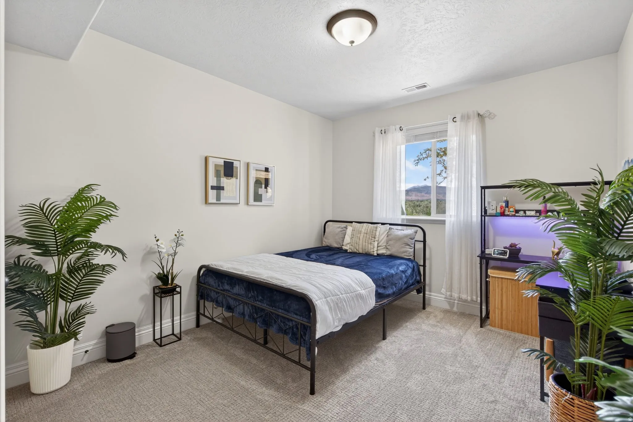 Carpeted room featuring a ceiling-mounted light fixture, a window with white blinds, and light-colored walls