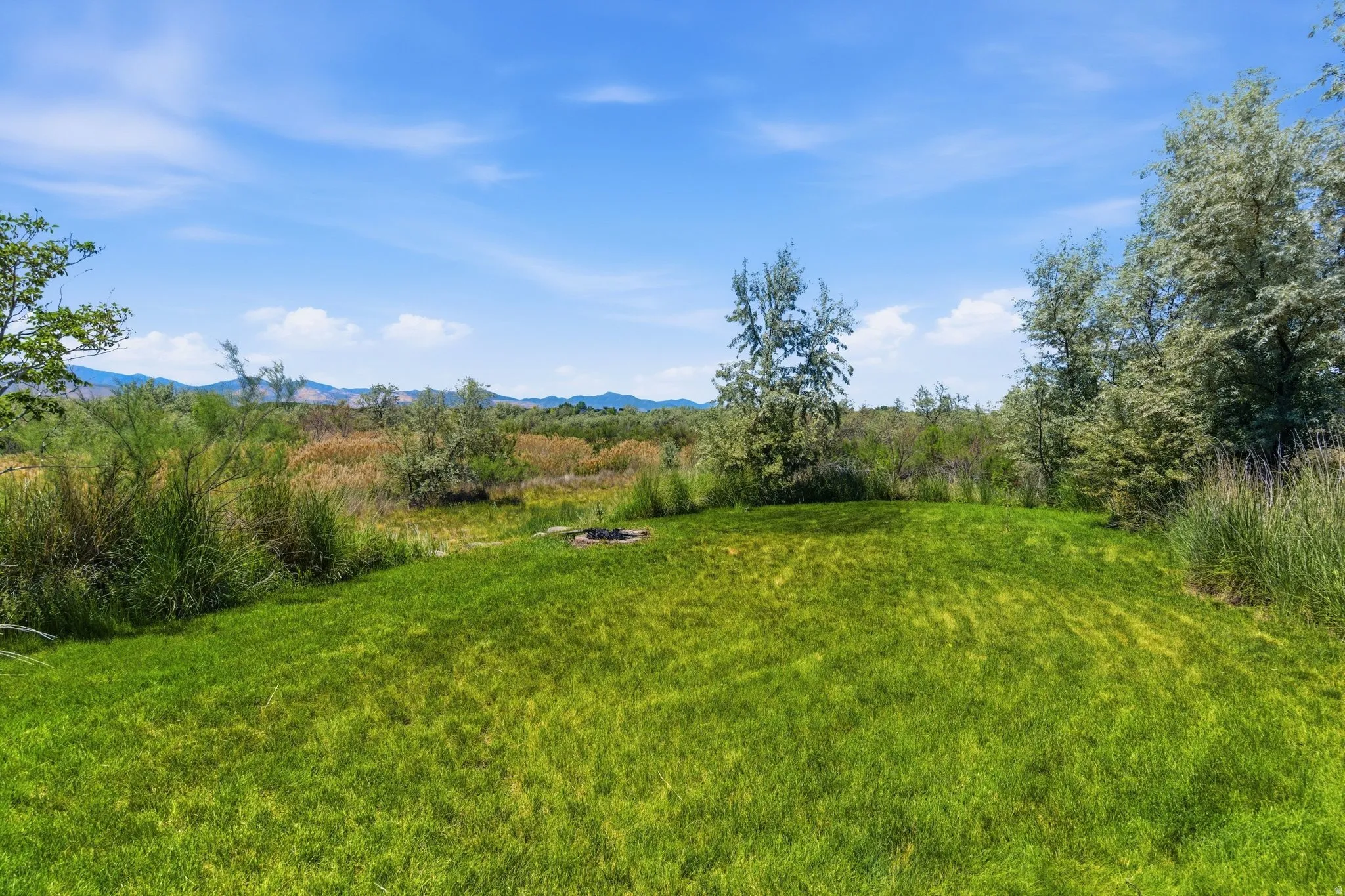 Expansive grassy area featuring a fire pit, surrounded by mature trees and natural vegetation