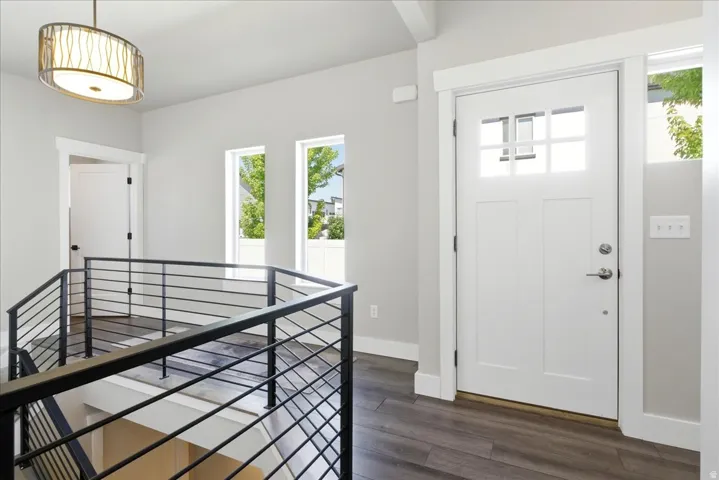 Entryway featuring a white paneled door with windowpanes, dark wood-finish flooring, and a contemporary drum pendant light fixture