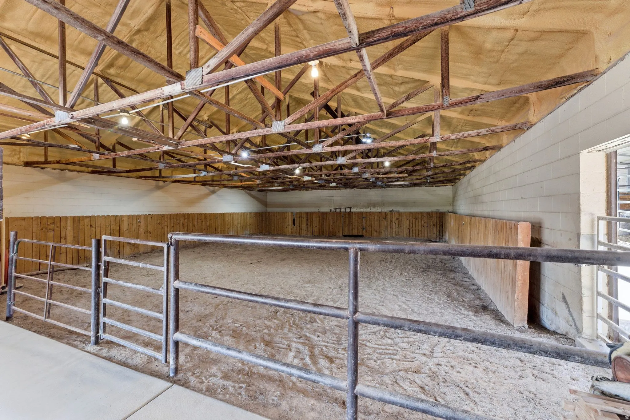 Spacious indoor riding arena featuring a sand base, wood-paneled perimeter, exposed beam ceiling, and overhead lighting