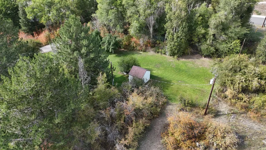 Expansive lot featuring mature trees, a manicured lawn, and a small utility structure with a red roof