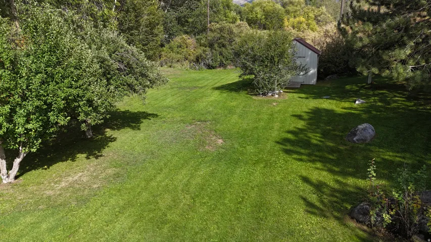Expansive green lawn featuring mature trees and a detached storage shed