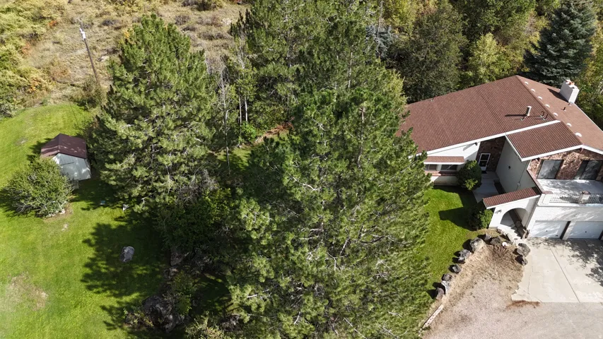 Mature trees, expansive green lawn, asphalt shingle roof, stone accent siding, attached two-car garage