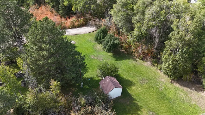 Expansive green space featuring mature trees and a detached shed with a brown roof