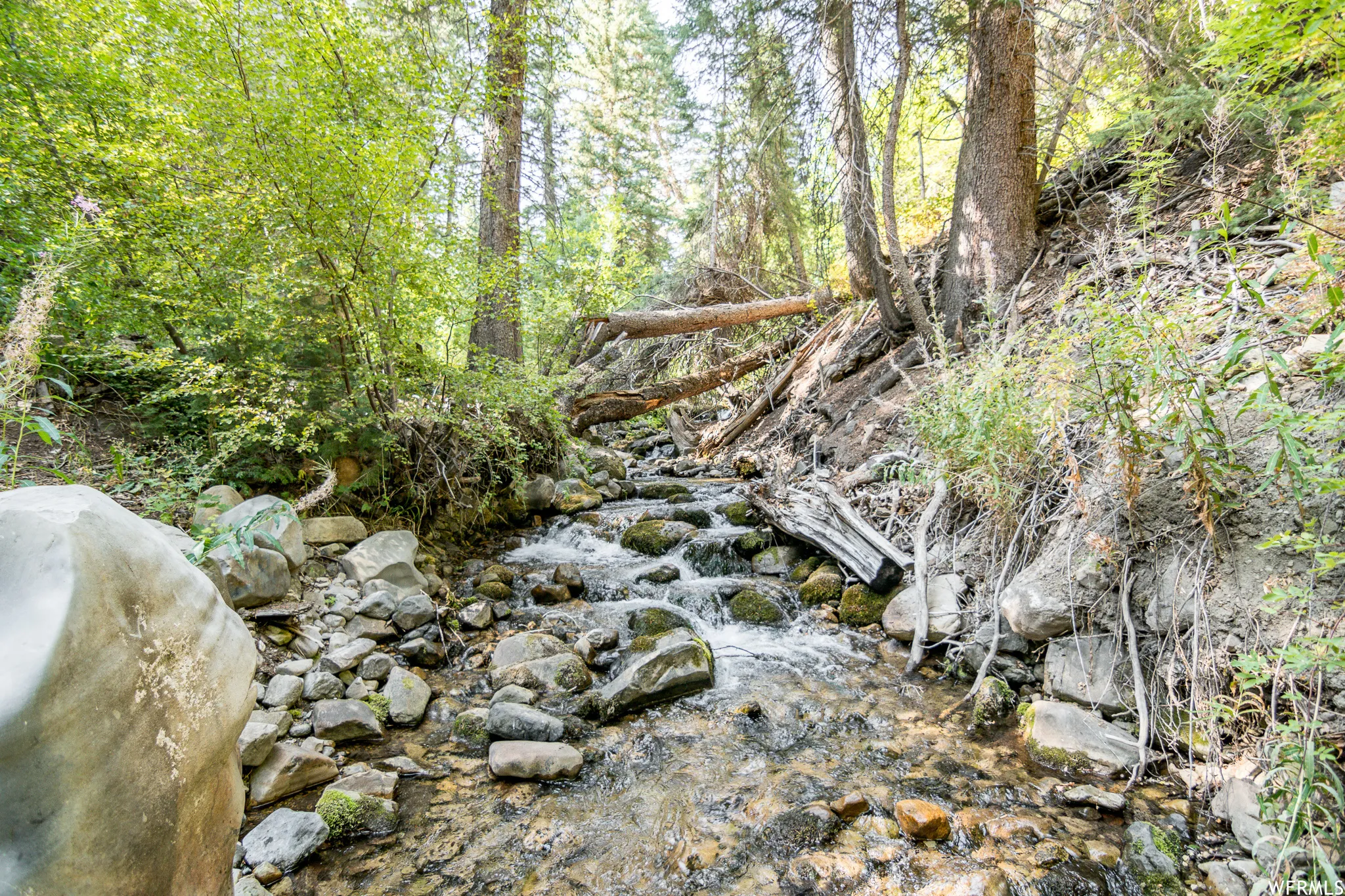 Natural creek featuring rock bed and flowing water