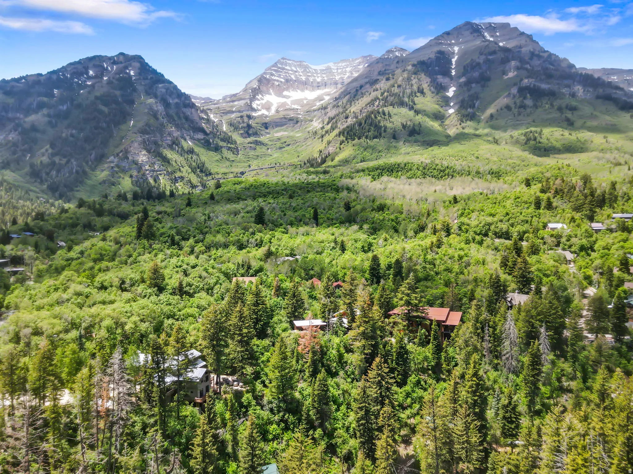 Mountainous landscape featuring extensive tree coverage and visible residential structures