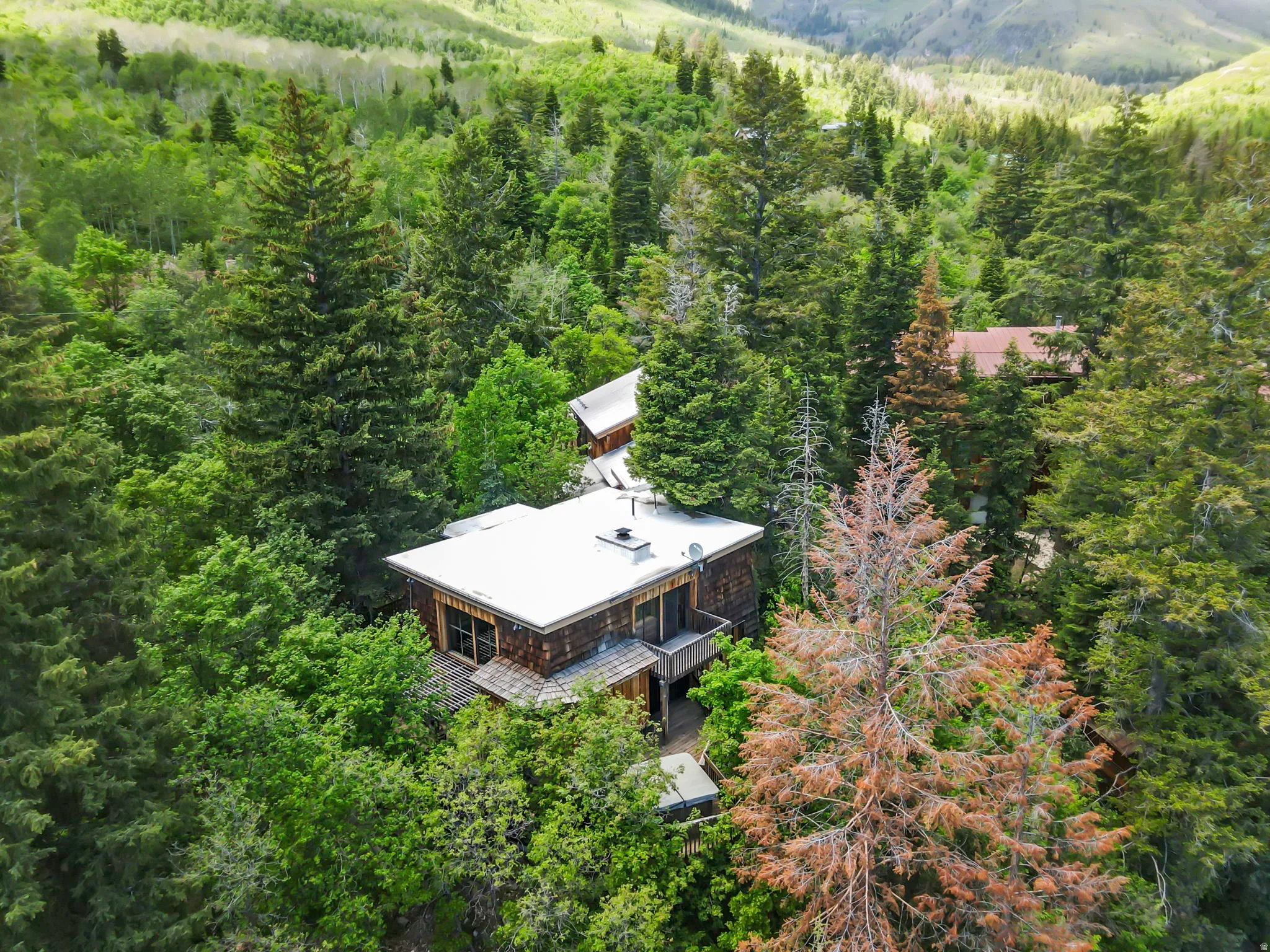 Wood-sided residence surrounded by dense forest, featuring a flat roofline and multiple levels